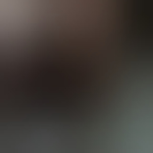 bertdesub