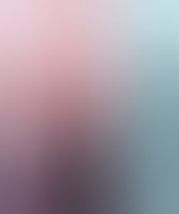 bi045