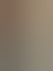 joostbttm