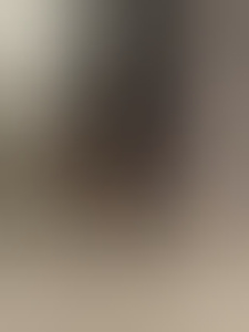 peetehv16