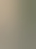 sneeker