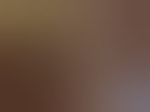 stevige46r