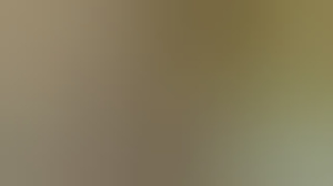 subslaaf54